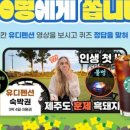 퀴즈펜션 네이버블로그