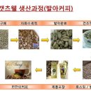 켓츠웰 이미지