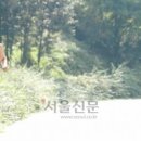 힐트