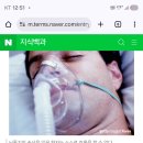 갑상선? 파충류의 뇌에서 뇌간 심박수 혈압 이미지