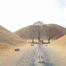 늘솜수학 | 경주 여행 필수코스 대릉원 천마총 주차 포토존 입장권