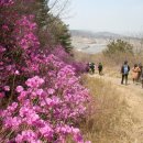 옹암해변주차장 이미지