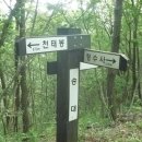 천태봉 Daum카페