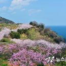 장승포해안로 이미지