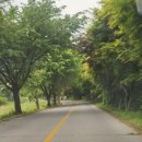 수레의산 국민여가캠핑장 이미지