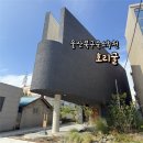 팀랩울산 | 울산북구숙소추천 호리굴 다녀온후기 + 꿀팁