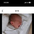 팰리스산후조리원 | 성남 분당 더팰리스 산후조리원 찐 후기
