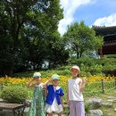 대구 아이와 가볼만한 곳/ 달성공원 / 대구동물원 / 대구나들이/ 대구향토역사관