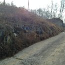 수련모터스 이미지