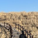 이호발전소 이미지