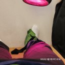 서훈태한의원 네이버블로그