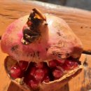 금빛주유소 이미지