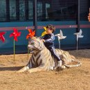 운봉로 | 남원) 백두대간 생태 교육장 게판5분전 워케이션 숲속 놀이터