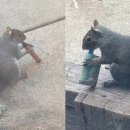 오물오물