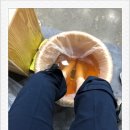 해피라파디톡스족욕 네이버블로그