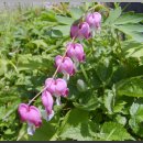 바우농장 이미지