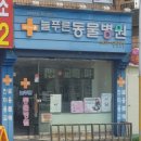 늘푸른종합동물병원 이미지