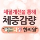 양산버드나무한의원 이미지