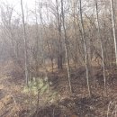 현리목장 이미지