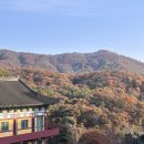 수진사 | 남양주 수진사 템플스테이 1박 2일 휴식형 1일차 I 강추 및 제대로 힐링하고 왔다!