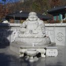 산정호수 아일랜드 이미지