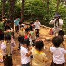 숲해설체험 이미지