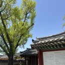 GS25 경주첨성대점