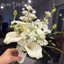 바바플레르