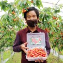 태안농협하나로마트 이미지