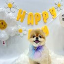 로고스 동물병원 네이버블로그