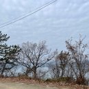 애향동산 이미지