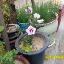 참아름@ 이미지