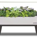 햇빛농장 이미지