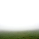 우천목장 이미지