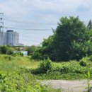 초역세권공인중개사사무소 이미지