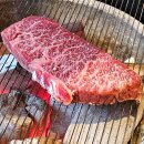 명품 갈매기 | 순천 조례동맛집 소고기까지 접수한 부산갈매기 찐 후기