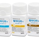 정칠수농장 데일리벳