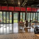 펫앤스토리 이미지