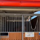 제2실내승마장 이미지