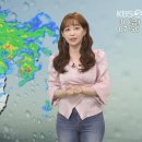 성모결혼정보