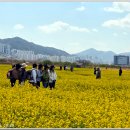 대저생태공원 이미지