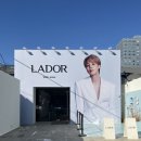 취향의공간 | 나만의 취향을 찾아가는 공간, 아도르 성수 쇼룸 후기