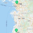 오독안심분양센터 강아지분양 고양이분양 목동점 이미지