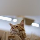 쿤이네집 이미지