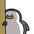 더마레풀빌라 이미지