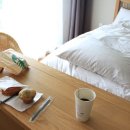 일레인호텔 이미지