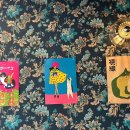 시선제주시청점 이미지