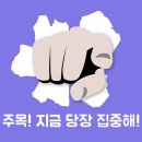 맛있개도 냥냥 이미지