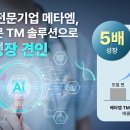 메타엠 이미지