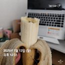 뉴데이 반려견 미용실 | 임신일기) 임신 21주차 일상 : 25.01.07(화)~13(월)